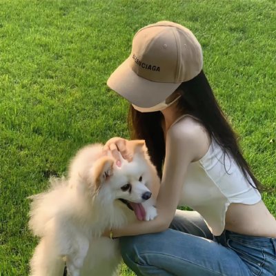 野狗们